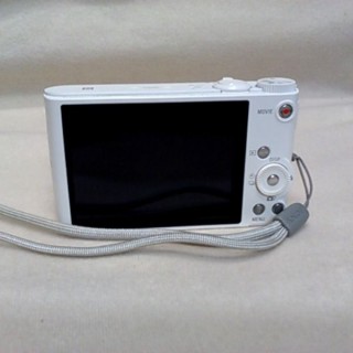 SONY DSC-WX350